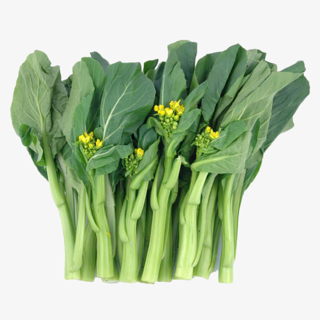 本地新鮮應季油菜